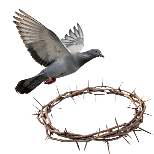 Chickadee in Flight Over Spikes